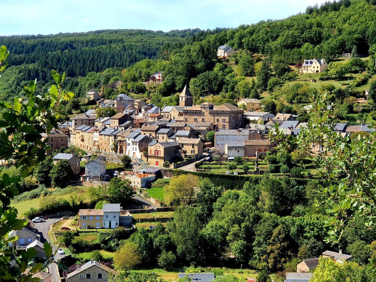 Logement Entier Chez Lea Et Brevia Apartment Saint-Beauzely Bagian luar foto